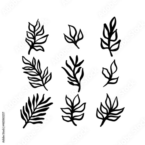 Little branches and floral doodles  hand drawn sketch drawings of plants  branches and leaves. Vector illustration.