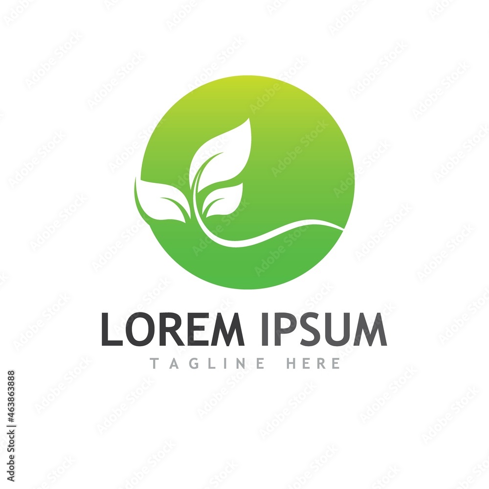 leaf logo and vector images leaf logo and vector images