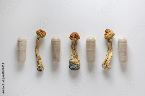Micro dosing concept. Dry psilocybin mushrooms as natural herbal pills on white background. Psychedelic magic mushroom as medical supplement. photo