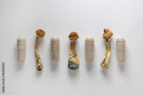 Micro dosing concept. Dry psilocybin mushrooms as natural herbal pills on white background. Psychedelic magic mushroom as medical supplement.
