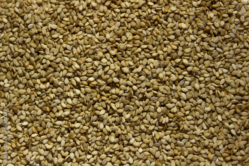 Fototapeta premium background of buckwheat