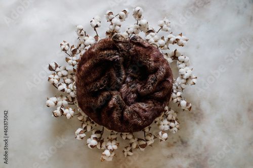 Brown cotton nest on a white background. Digital backdrop for newborn and baby photography.
