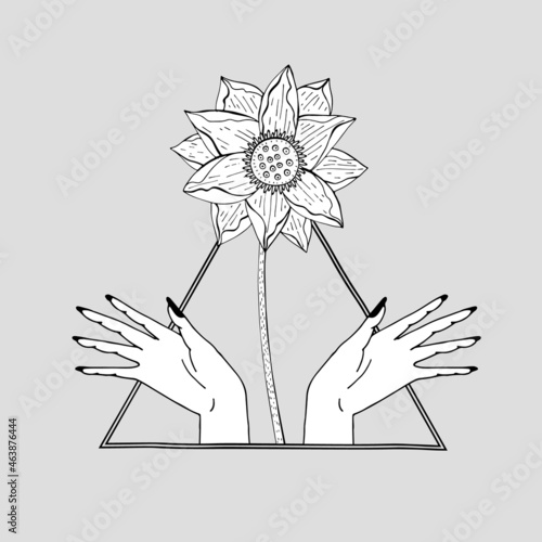 Vintage Mystic hands and lotus flower inside triangle Illustration