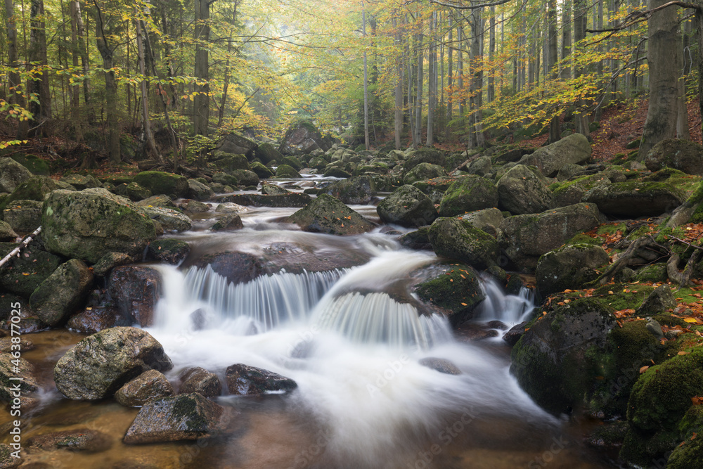 Obraz premium Autumn fall mountain waterfall stream in the rocks with colorful fallen dry leaves, landscape, natural seasonal background