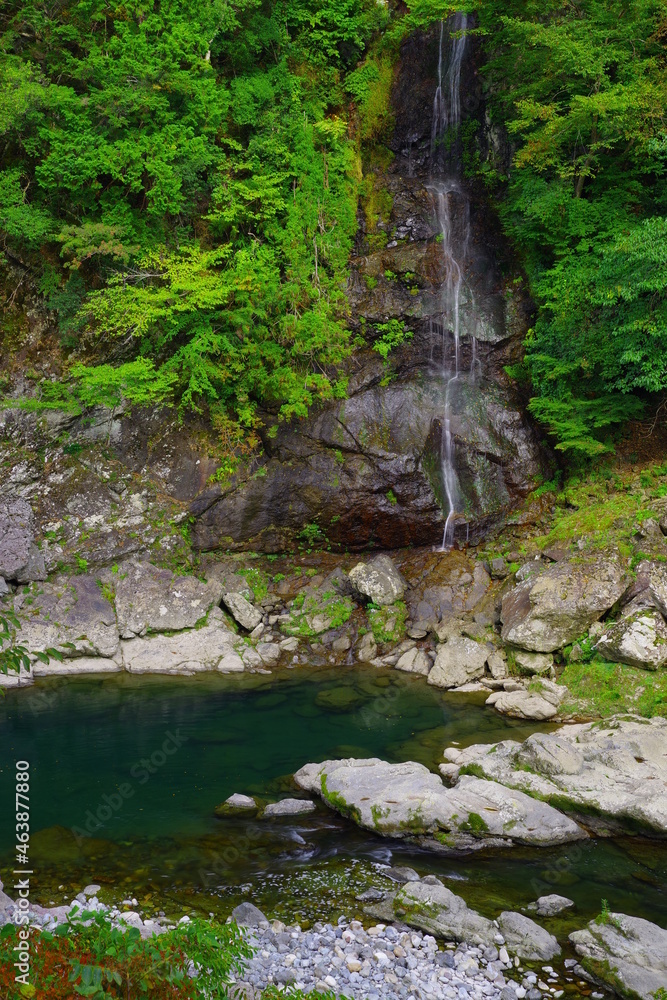 Fototapeta premium 川原