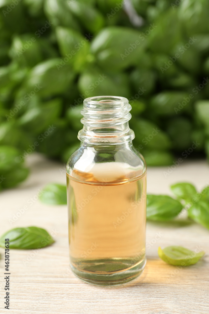 Glass bottle of basil essential oil and leaves on white wooden table, closeup Glass bottle of basil essential oil and leaves on white wooden table, closeup