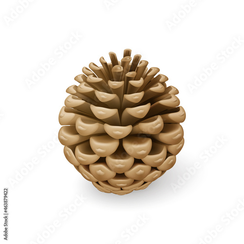 Close Up of Dried Brown Pine Cone. Single Decorative Woody Fruit of a Conifer Tree. Christmas Decoration, Holiday Decorative Concept on White Backdrop