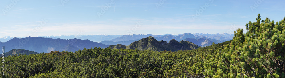 Wanderung auf den Hochmiesing: Rotwandblick über die Latschen hinweg Wanderung auf den Hochmiesing: Rotwandblick über die Latschen hinweg