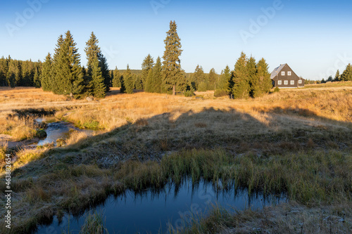 Small mountain creek in the middle of green meadows and spruce forest, Jizera Mountains, Czech Republic Mountain village Jizerka in Jizera Mountains in Northern Bohemia. Summer