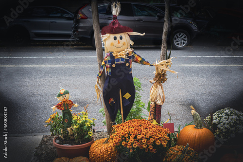 Fotografie, Obraz Funny and smiley scarecrow with corn, plants and pumpkins on a wooden pole