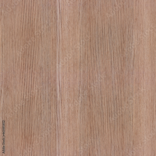 fine wood seamless texture. wood texture background.