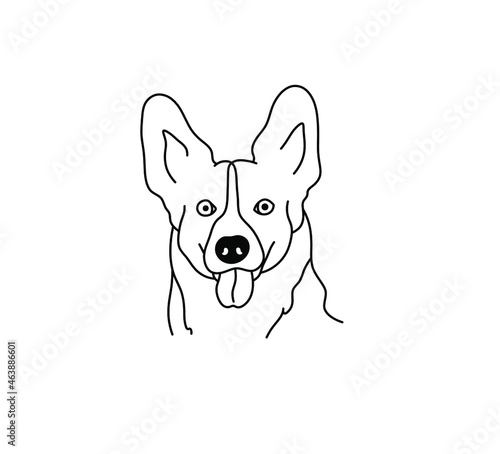 Vector isolated Welsh Corgi cardigan portrait drawing. Colorless black and white line Corgi dog head sketch