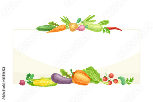 Bright Rectangular Vegetable Frame with Ripe and Fresh Garden Cultivar Vector Illustration