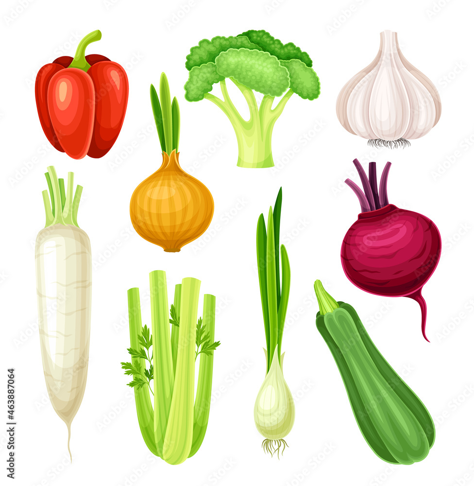 Ripe Vegetable as Healthy Raw Food and Garden Cultivar Vector Set Ripe Vegetable as Healthy Raw Food and Garden Cultivar Vector Set