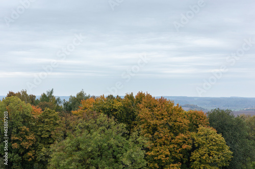 Autumn trees and cloudy sky. Minimalistic landscape.