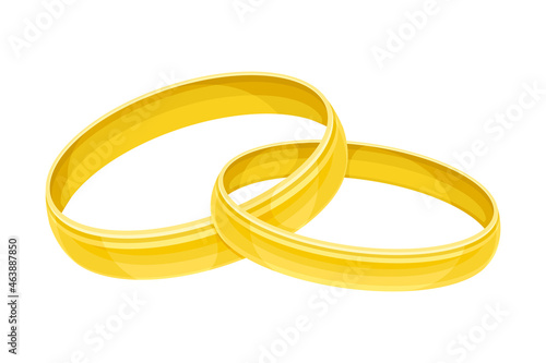 Pair of Wedding Golden Ring Closeup Vector Illustration