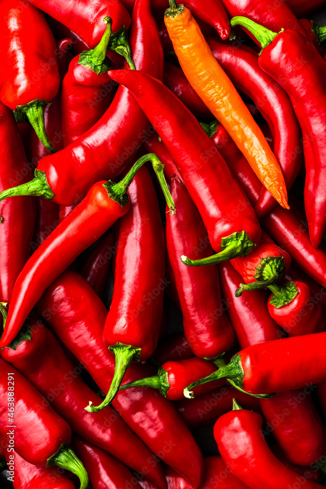 Hot Red Chili Pepper Background. Mexican Chilli Closeup View