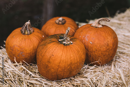Four pumpkins over a block of straw in a rural Halloween scene