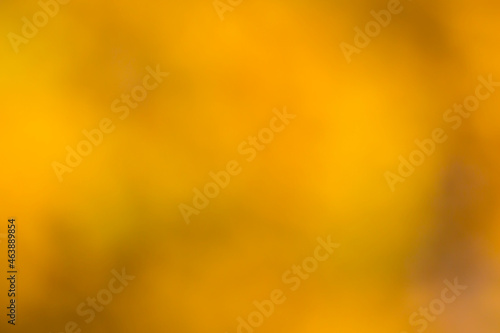 Orange autumn background. Abstract background with gradient.