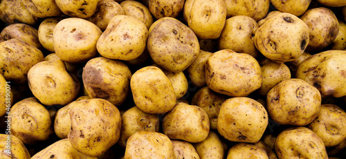 Potatos, papas, peruvian potatoes, organic potatoes photo