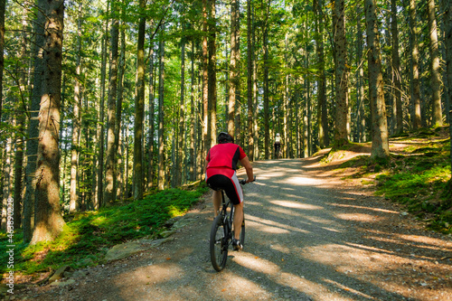 The cyclist rides along a forest road.