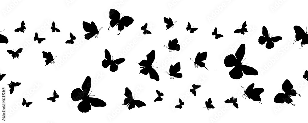 Naklejka Seamless flock of silhouette black butterflies on white background. Vector
