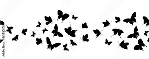 Seamless flock of silhouette black butterflies on white background. Vector