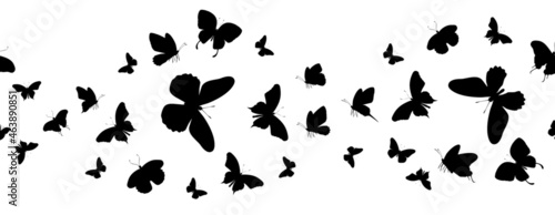 Seamless flock of silhouette black butterflies on white background. Vector