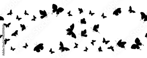 Seamless flock of silhouette black butterflies on white background. Vector