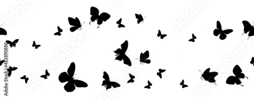 Seamless flock of silhouette black butterflies on white background. Vector