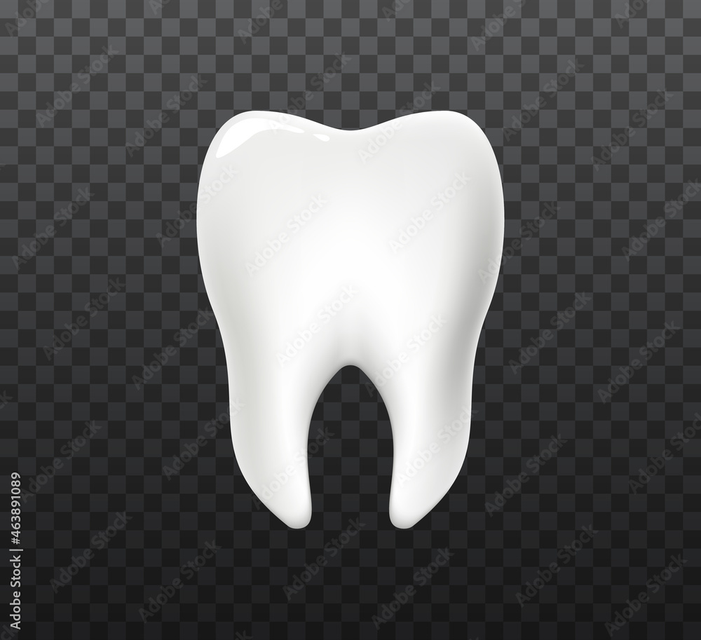 Realistic 3d tooth. Transperent stomatology icon. Realistic 3d tooth. Transperent stomatology icon.