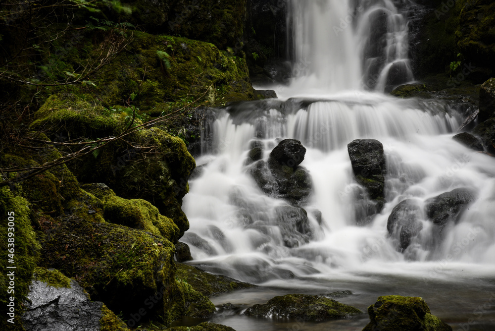 Obraz premium waterfall in the forest