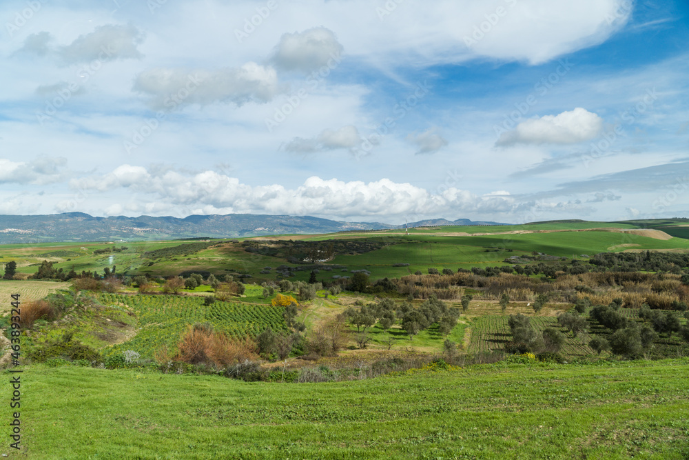 Green Fields on a Spring Day with Puffy Clouds - Meknes, Morocco Green Fields on a Spring Day with Puffy Clouds - Meknes, Morocco