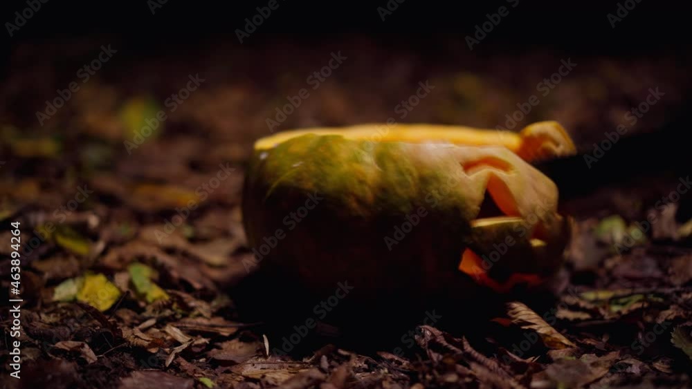 Halloween jack-o-lantern with carved smiling scary face in darkness in night forest with lightning flashing and sharp machete cutting vegetable. Concept of fear and scare Halloween jack-o-lantern with carved smiling scary face in darkness in night forest with lightning flashing and sharp machete cutting vegetable. Concept of fear and scare