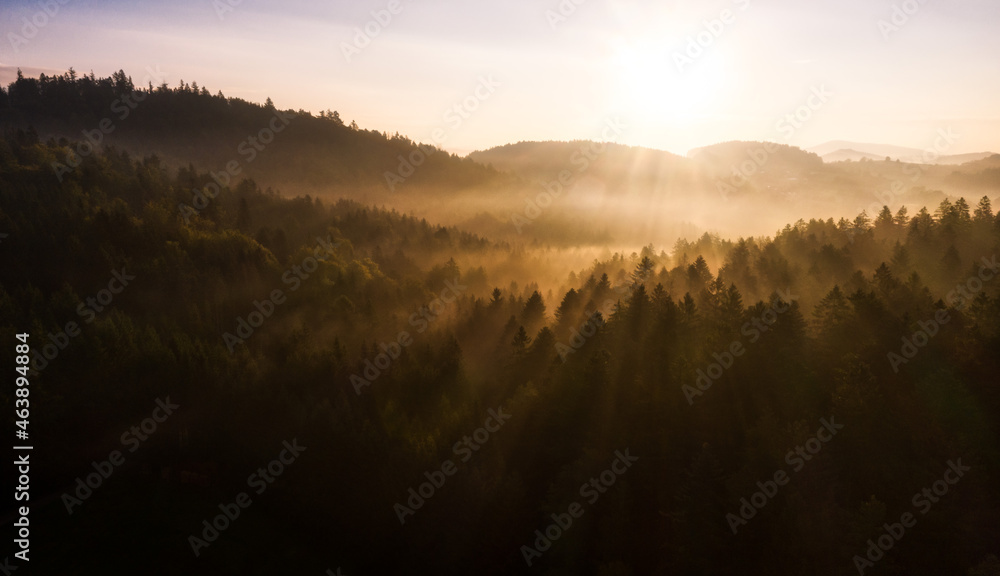 Nebliger Herbstmorgen im Bayerischen Wald Nebliger Herbstmorgen im Bayerischen Wald