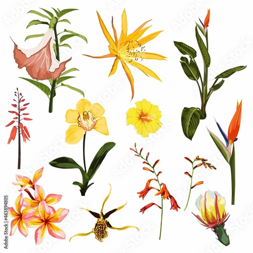 Floral set. Yellow flowers and herbs, green leaves. Wedding concept with flowers. Floral poster, invite. Arrangements for greeting card or invitation design.