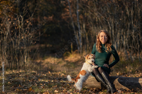 Wire-haired Jack Russell Terrier puppy stands in front of a girl's feet in an autumn park © WoodHunt