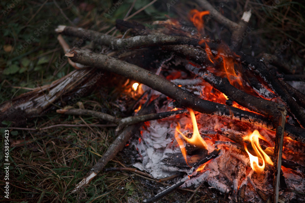 Close-up of a campfire. Bonfire. Close-up of a campfire. Bonfire.