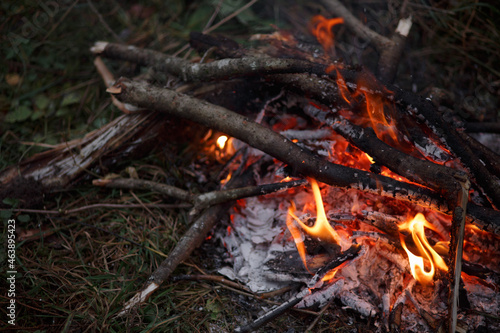 Close-up of a campfire. Bonfire. © vov8000