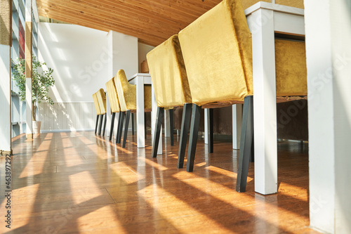 Wooden cafe interior. Yellow trend color. Bright chair in coffee shop. Sum shadows. Geometry furnature. Luxury hotel loft design photo