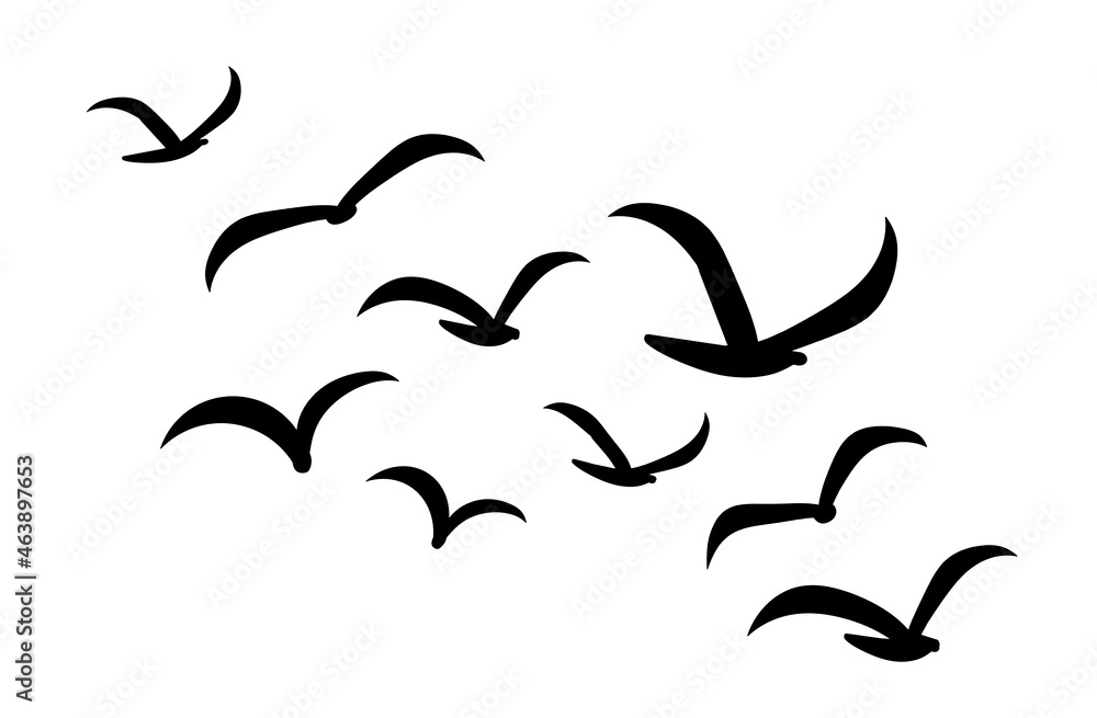 Silhouettes of groups of birds on white Silhouettes of groups of birds on white