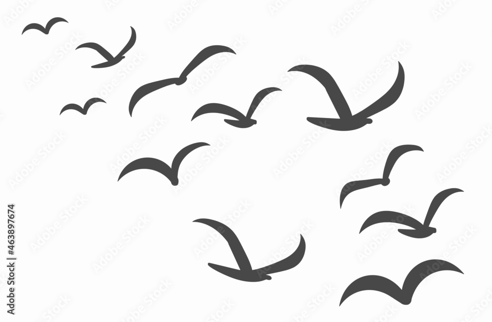 Silhouettes of groups of birds on white. Vector Silhouettes of groups of birds on white. Vector