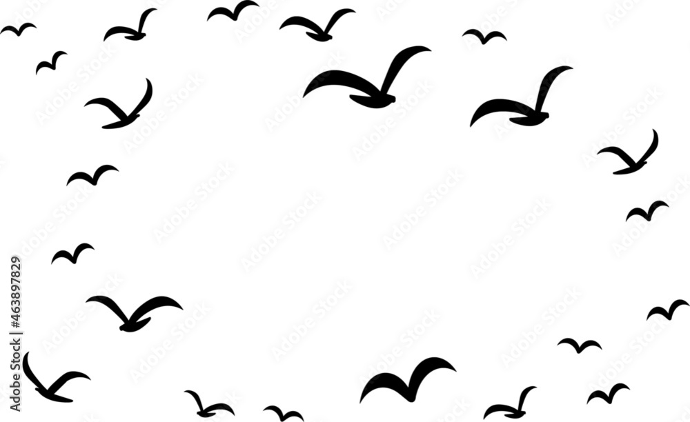 Obraz premium Silhouettes of groups of birds on white. Vector