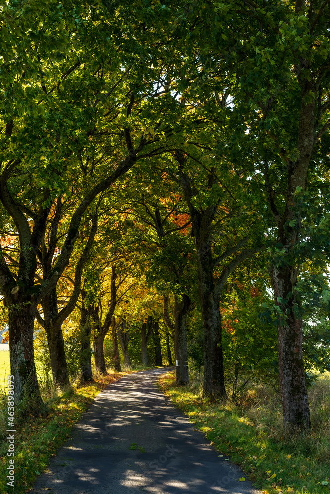 Naklejka premium Alley