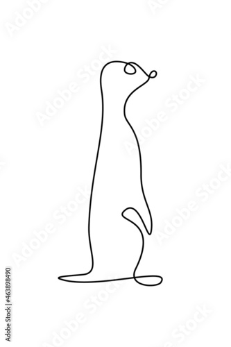 Funny meerkat in continuous line art drawing style. Suricate minimalist black linear design isolated on white background. Vector illustration