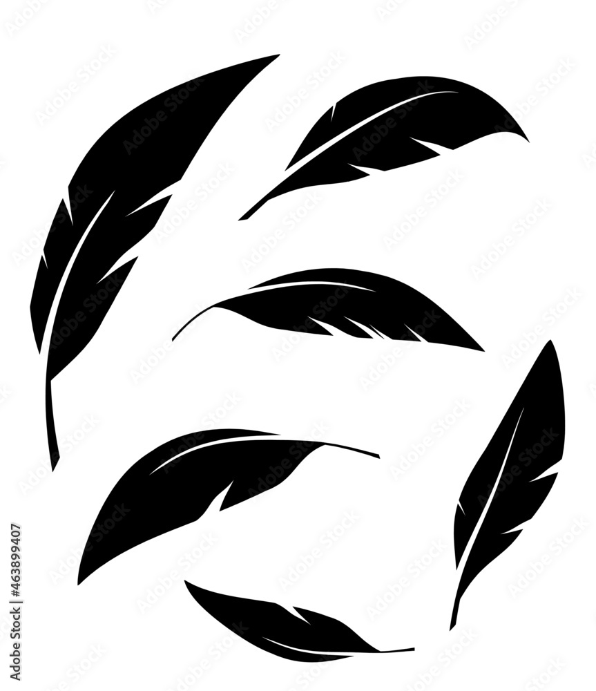Flock of black feathers falling isolated on white background. Vector Flock of black feathers falling isolated on white background. Vector