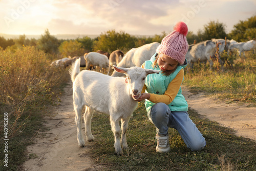 Farm animal. Cute little girl petting goatling on pasture