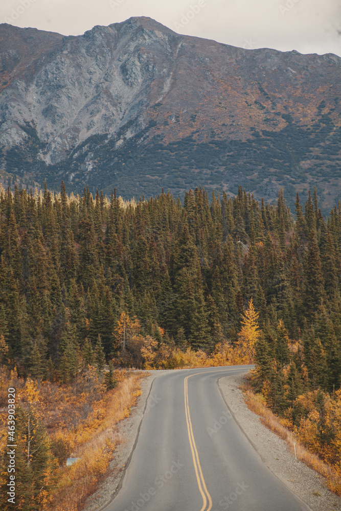 A lonely road of the national park denali in Alaska A lonely road of the national park denali in Alaska