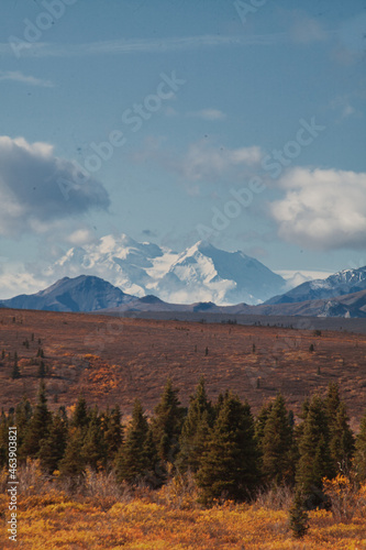 the denali mountain of Alaska in a beatiful day 