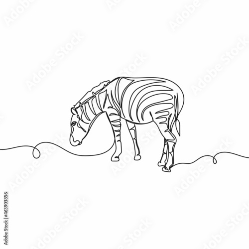 Photography Vector continuous one single line drawing of amazing zebra animal in silhouette on a white background